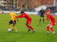 SpVgg Bayreuth vs. Borussia Dortmund II - Verdienter Sieg (Foto: Stefan Dörfler)