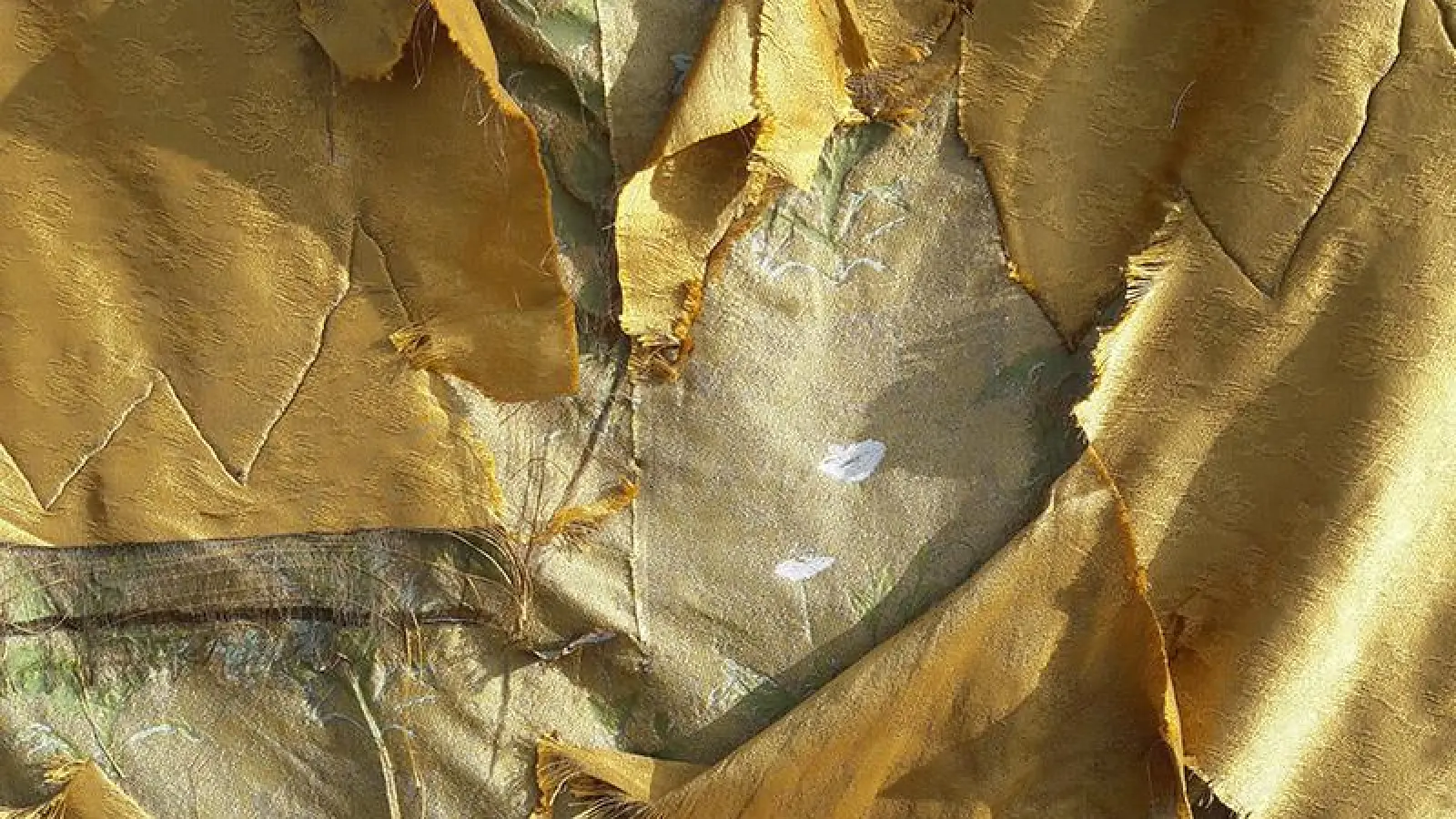 Eröffnung der Sonderausstellung (Foto: red)