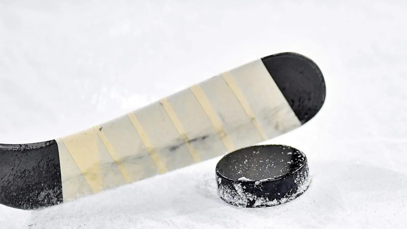 Bayreuth Tigers holen neuen Stürmer: Publikumsliebling nicht mehr im Kader (Foto: pixabay/soerli)