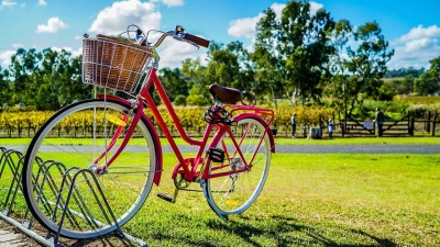 Ratgeber: Regeln für Radler (Foto: red)