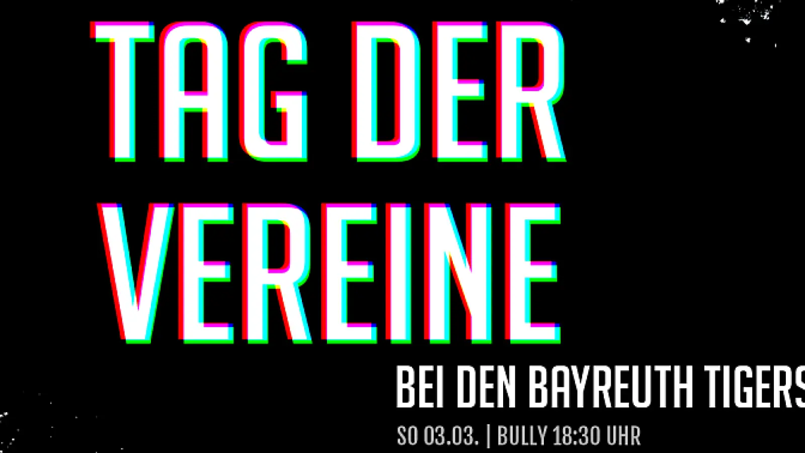 Tag der Vereine. / Foto: Bayreuth Tigers Eishockey GmbH. (Foto: inBayreuth.de)