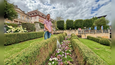Harald Gräbner vom Stadtgartenamt verrät, wie mit der richtigen Gießtechnik Wachstum und Gesundheit der Pflanzen gefördert werden kann.  (Foto: Stadt Bayreuth )