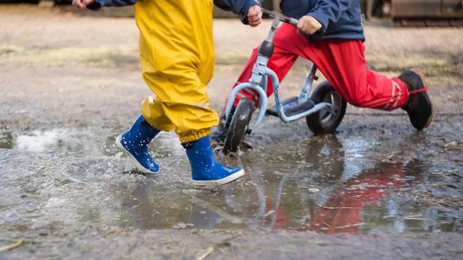 Lokalnachrichten Bayreuth: Jetzt noch für die „ÖkoKids“ anmelden (Foto: red)