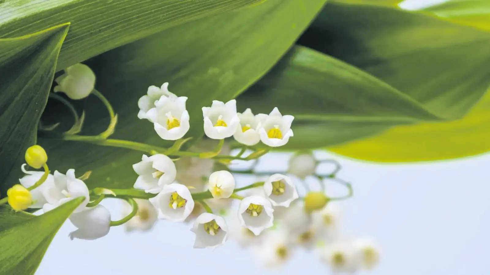 Alles neu macht der Mai? (Foto: inBayreuth.de)