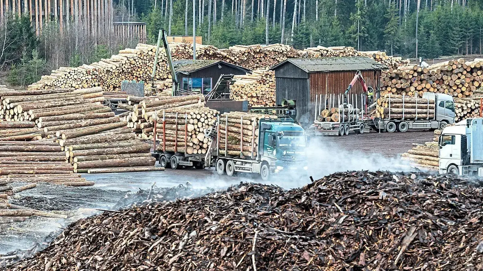 Das Herz des früheren Ziegler-Imperiums, das Sägewerk Betzenmühle, schlägt wieder, wenn auch unter neuen Besitzern.  (Foto: uf)