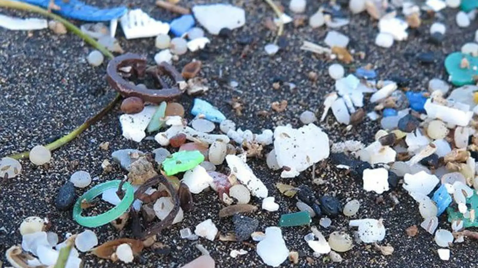 Mikroplastik betrifft uns alle (Foto: red)