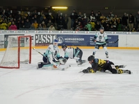onesto Tigers - EV Lindau Islanders 03 (Foto: sd)