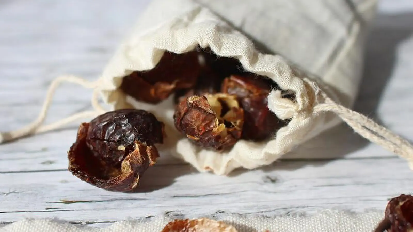 Waschnüsse- Nachhaltigkeit- Symbolbild Foto: pixabay (Foto: pixabay)