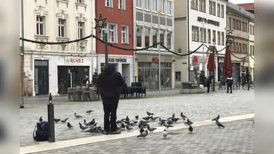  Wachsende Taubenpopulation. Welche Lösungsansätze stehen zur Verfügung? (Foto: gmu)