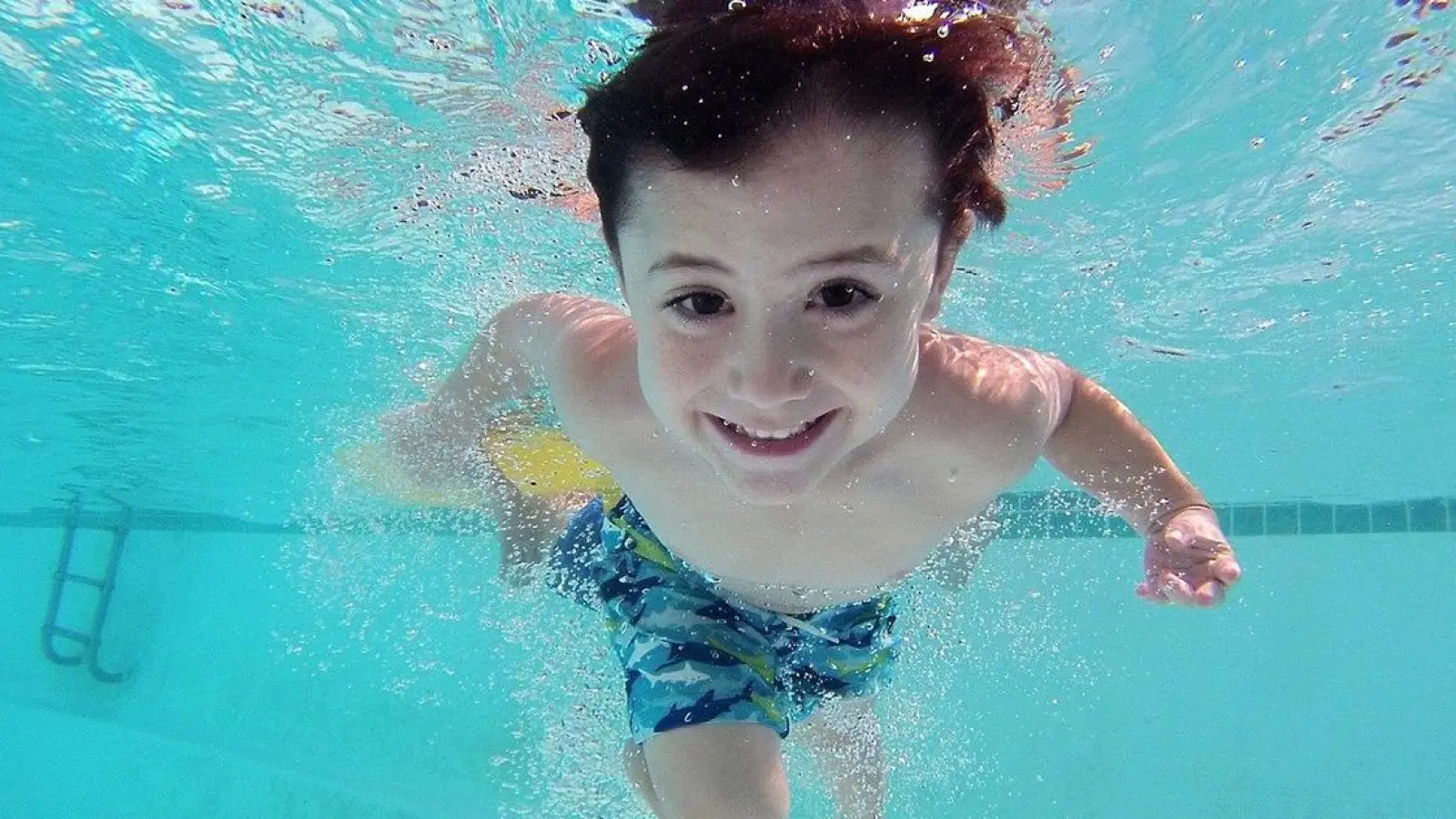 Lokalnachrichten in Bayreuth: 20.000 Euro für die Lebensrettung (Foto: red)