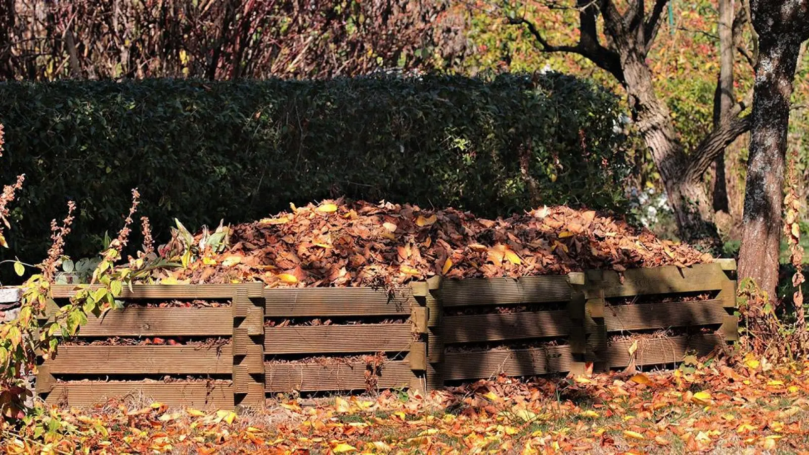 Ratgeber Bayreuth: Ablagerung von Gartenabfällen in freier Natur (Foto: red)