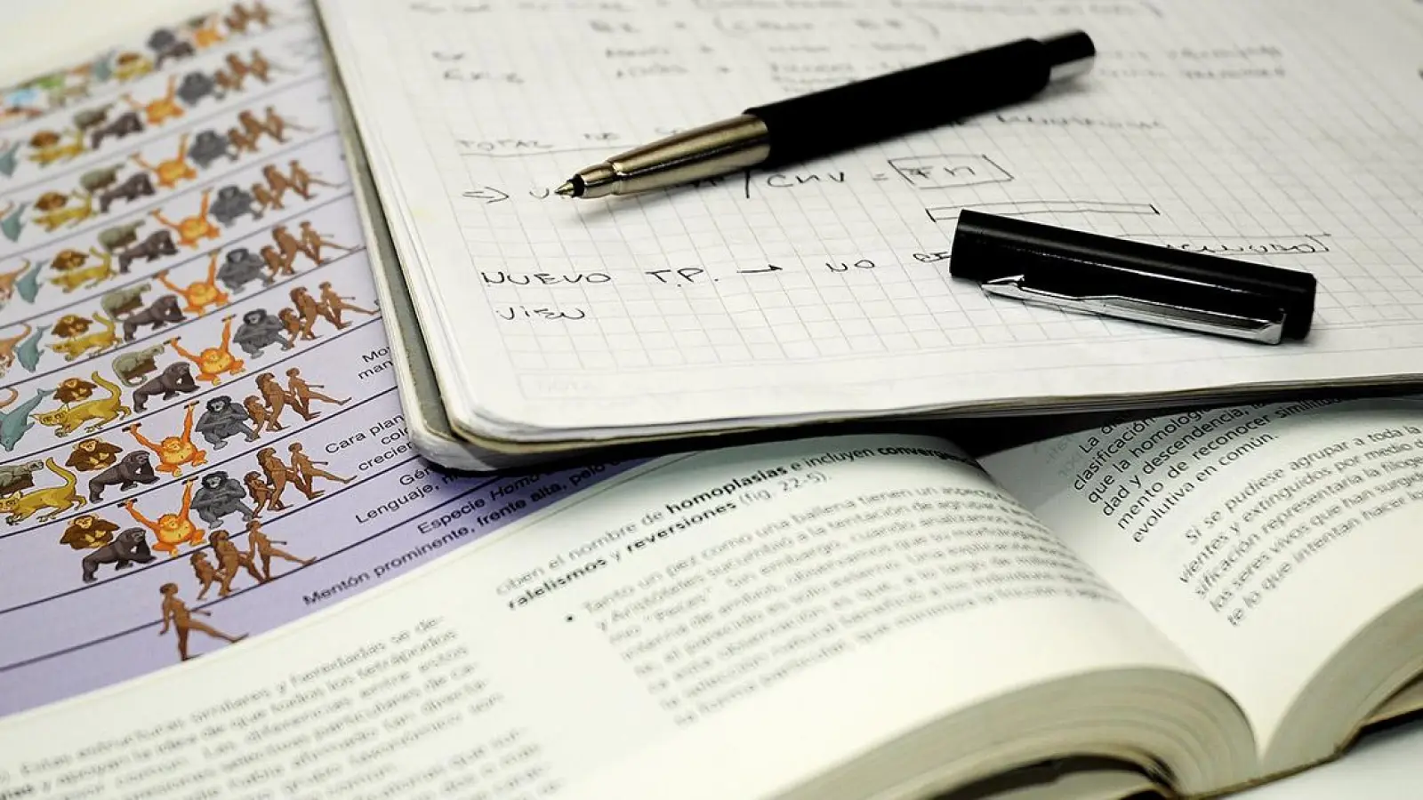 Polizei Oberfranken: Abiturprüfungen geklaut (Foto: red)