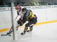 onesto Tigers Bayreuth - ECDC Memmingen Indians 03 (Foto: sd)