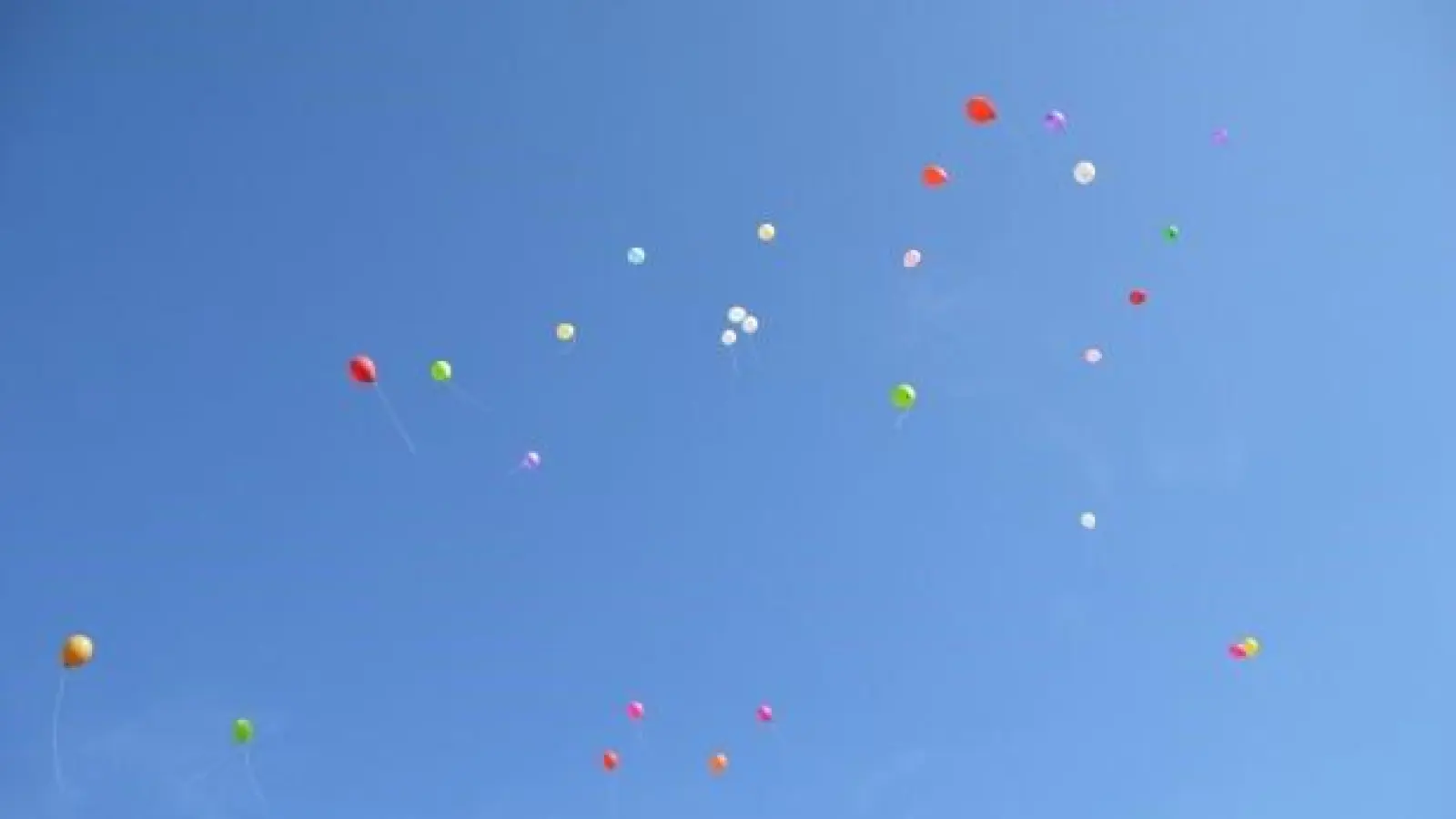 „Montessori Kindernest – Kunst &amp; Natur e.V.“ (Foto: inBayreuth.de)