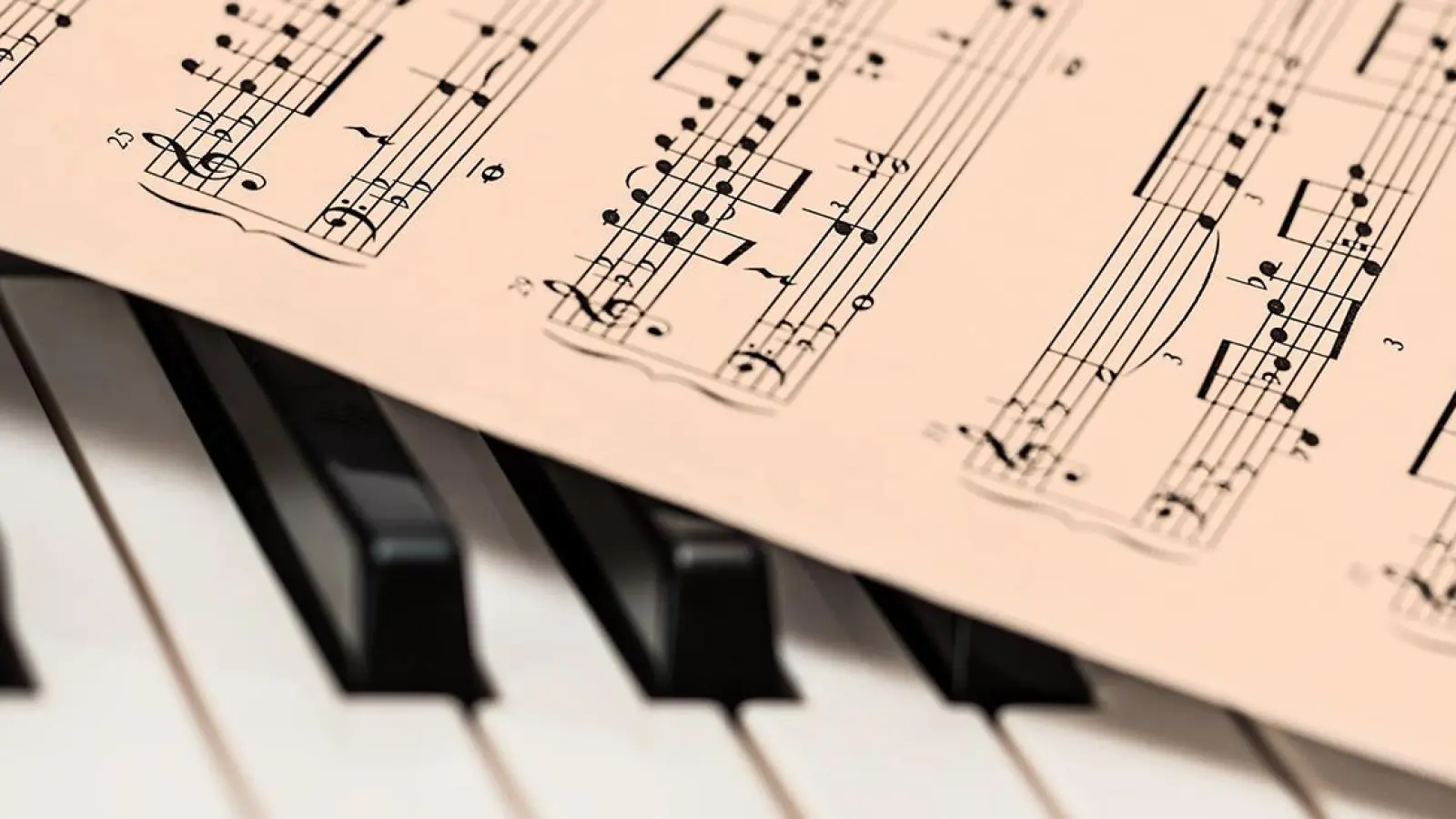 Veranstaltungen in Bayreuth: Musik liegt in der Luft (Foto: red)