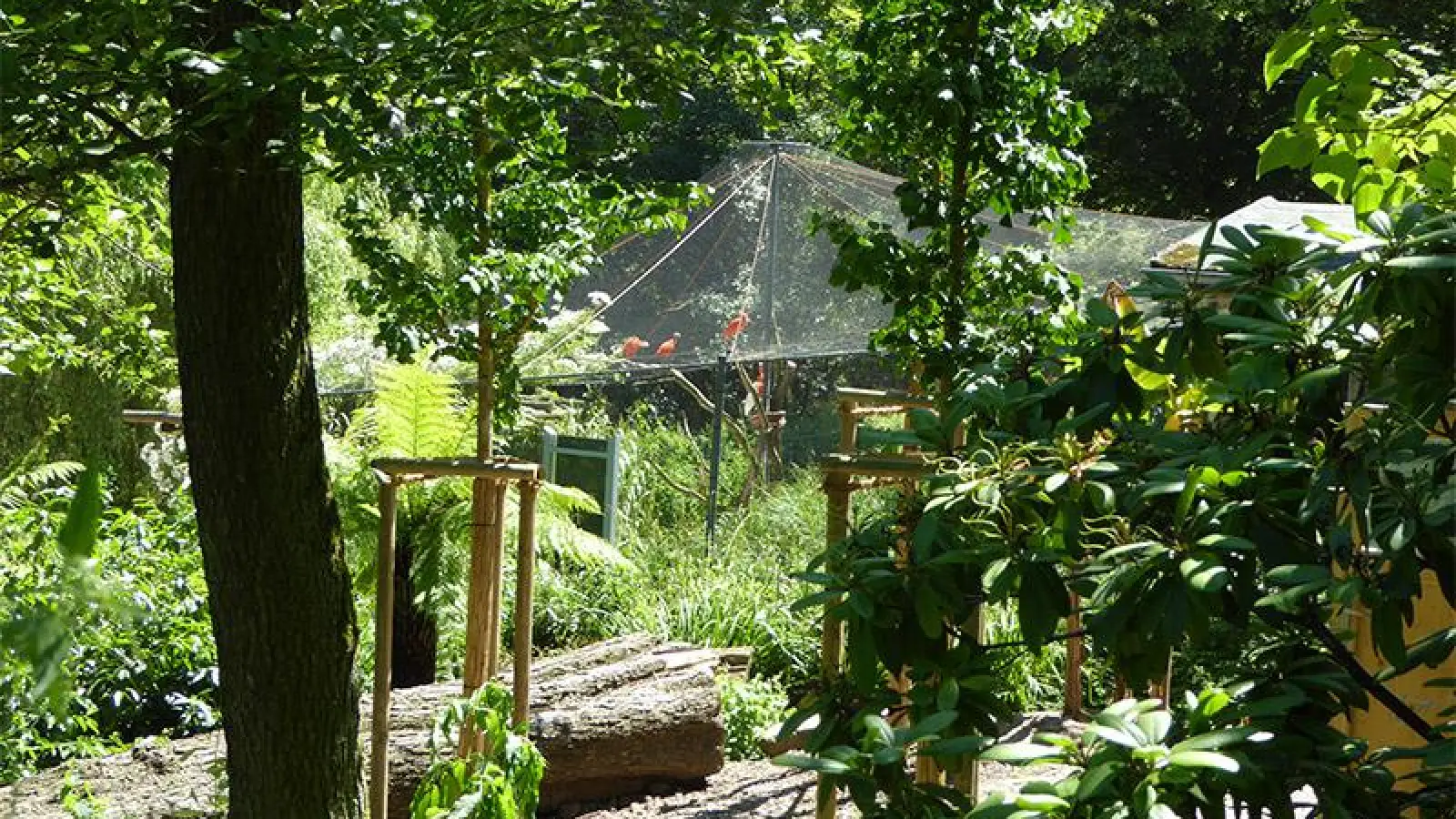Lokalnachrichten: Erneute Auszeichnung für den Tierpark Röhrensee (Foto: Stadtgartenamt Bayreuth)