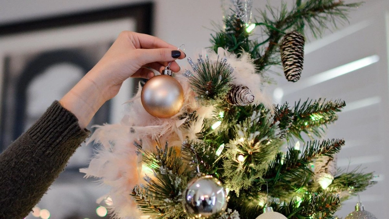 Foto: pexels.com/Element5 Digital