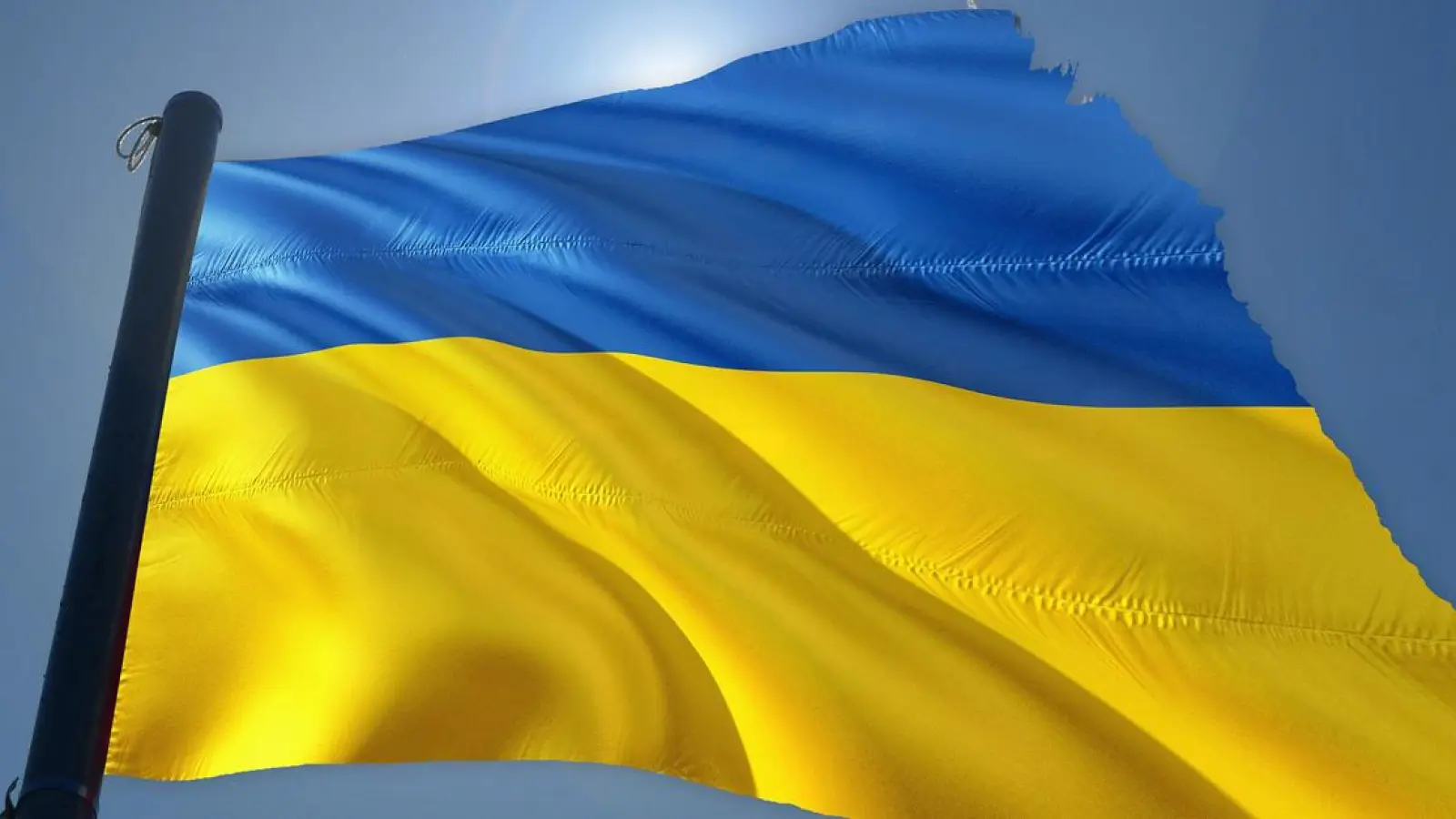 Glashaus: Sammelstation für Hilfsgüter in die Ukraine (Foto: red)