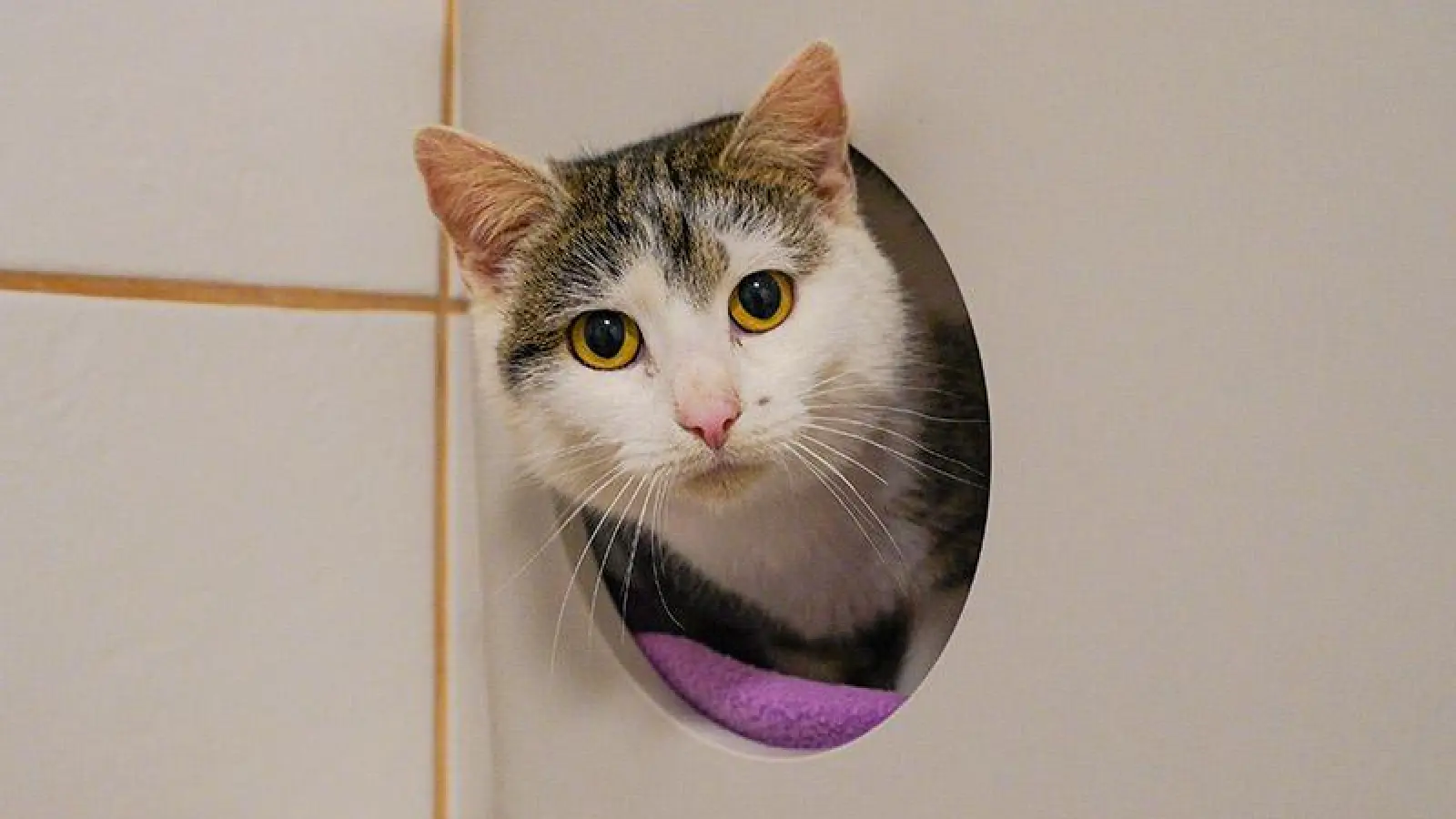 Juliette (Foto: inBayreuth.de)