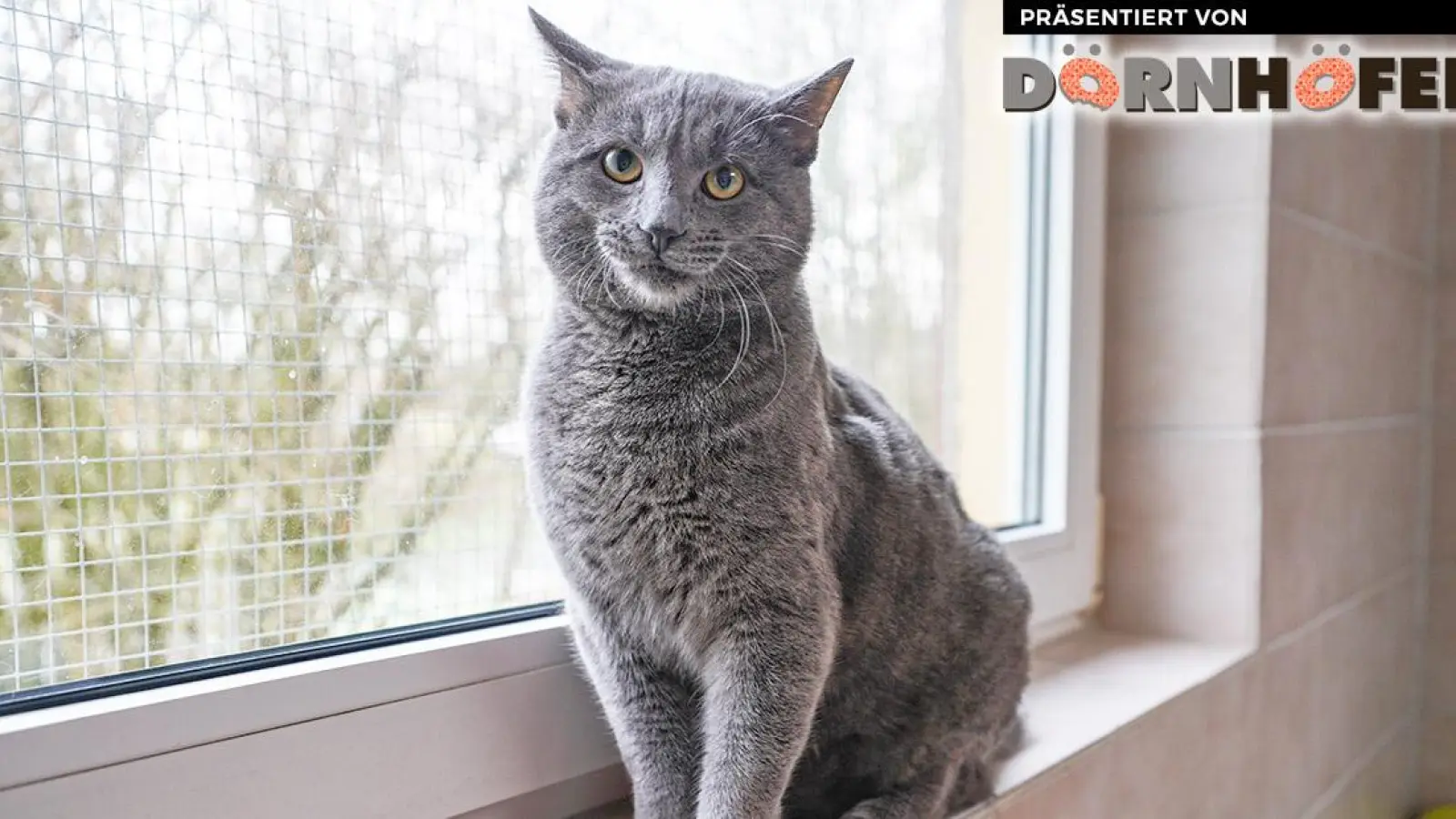 Wer kennt mich? (Foto: inBayreuth.de)