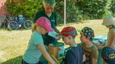 Viel los beim Familienfest vom Bezirk Oberfranken.  (Foto: sd)