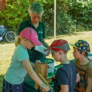Viel los beim Familienfest vom Bezirk Oberfranken.  (Foto: sd)