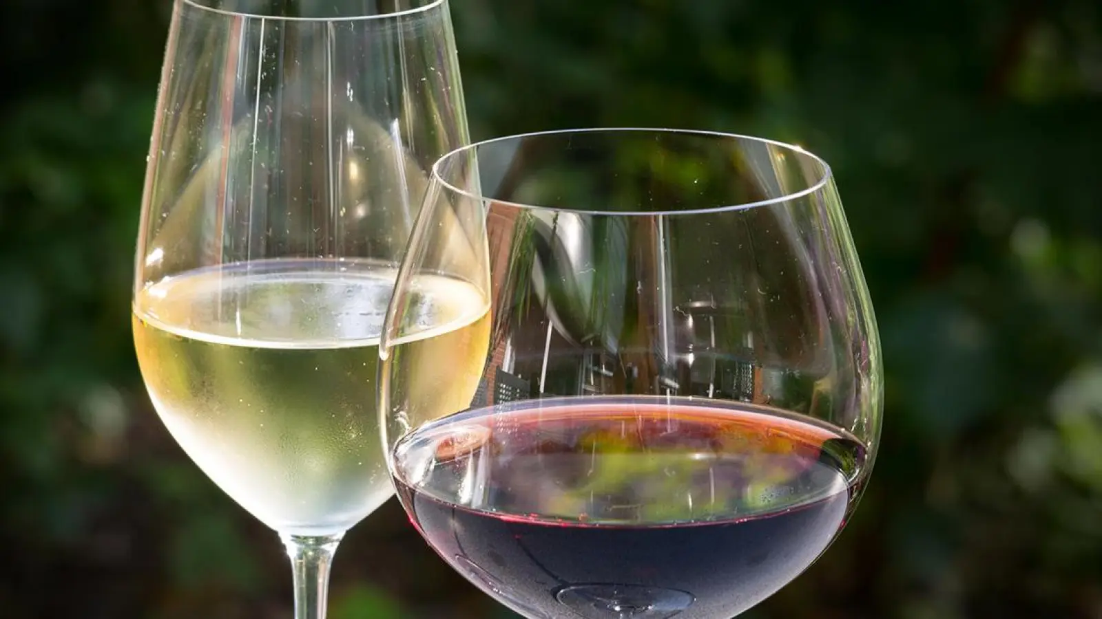 Weinfest in Bayreuth in wenigen Tagen (Foto: red)