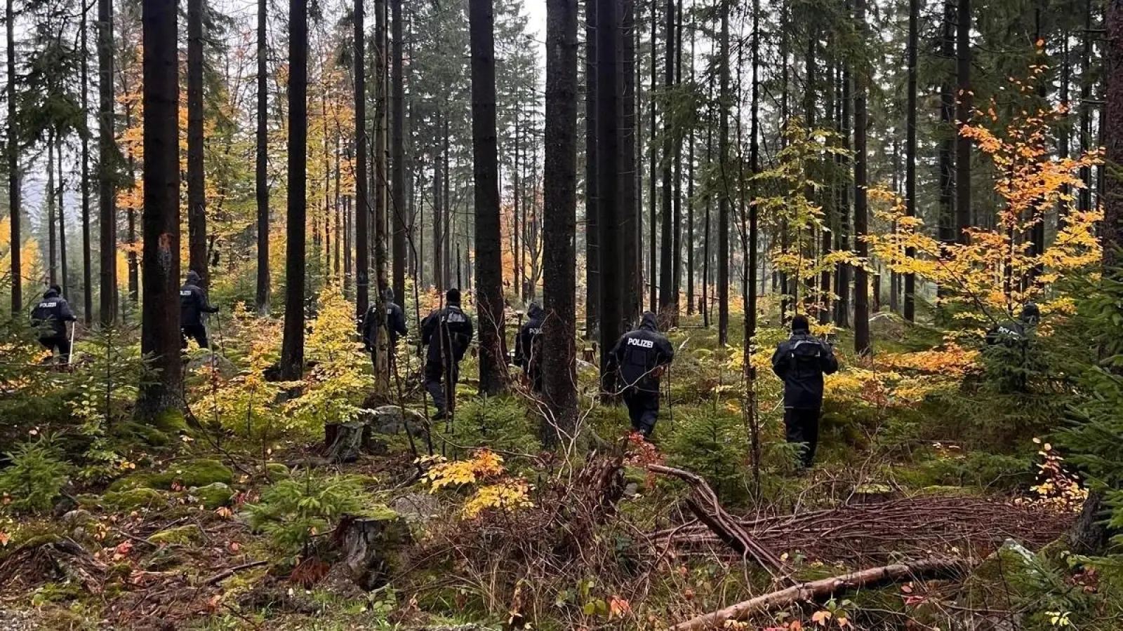 Die Polizei suchte mit einer Hundertschaft Beamter und speziellen Suchhunden nach dem Vermissten. (Foto: Polizei)