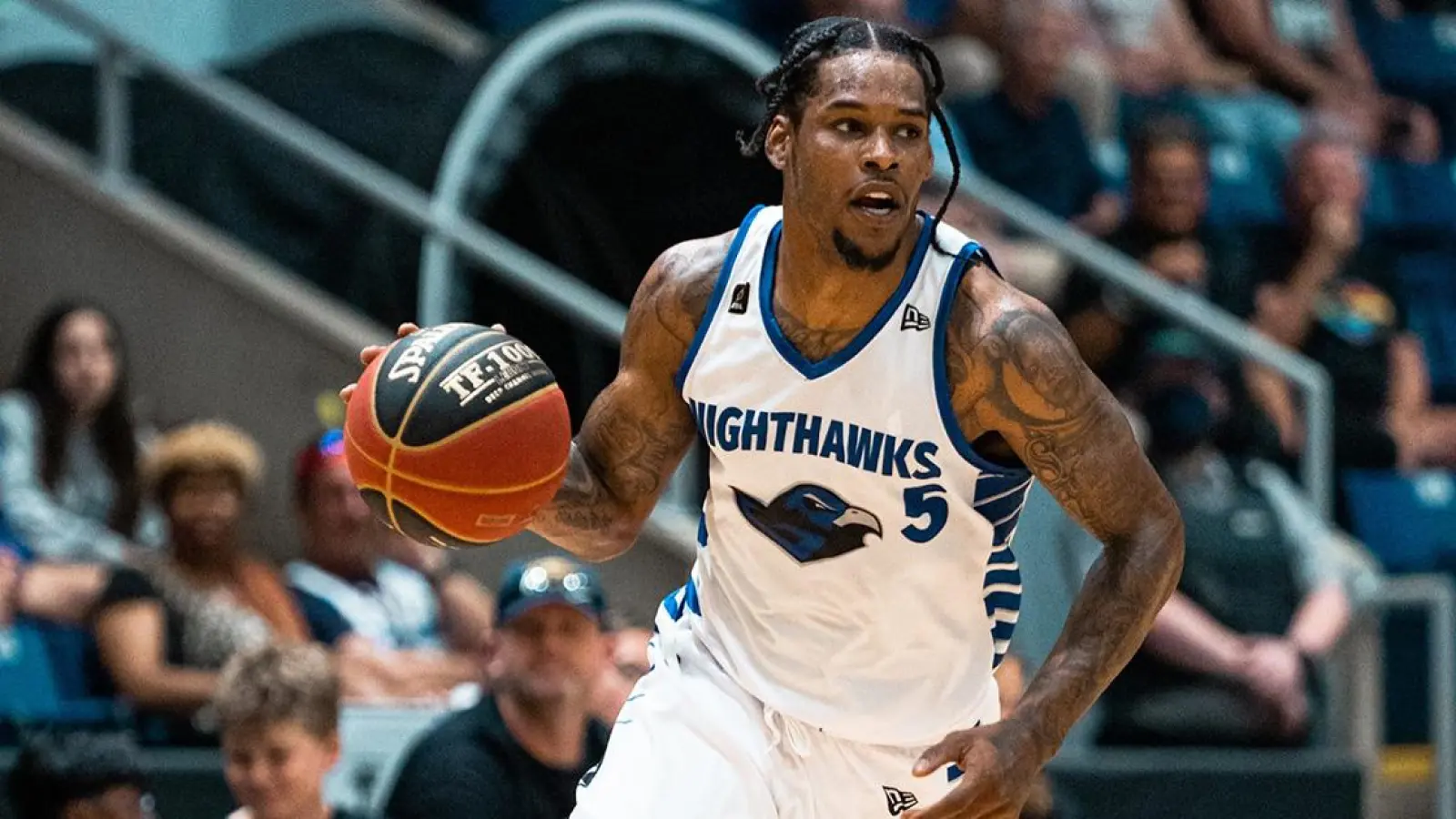 Bild: medi Bayreuth/Guelph Nighthakws | CEBL (Foto: inBayreuth.de)