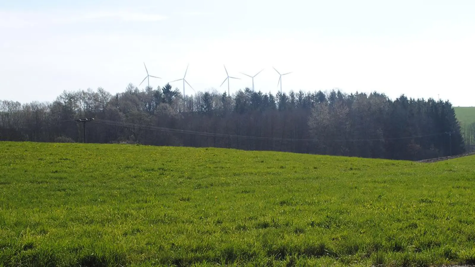 Symbolbild: Windpark in Creußen (Foto: Preiss)