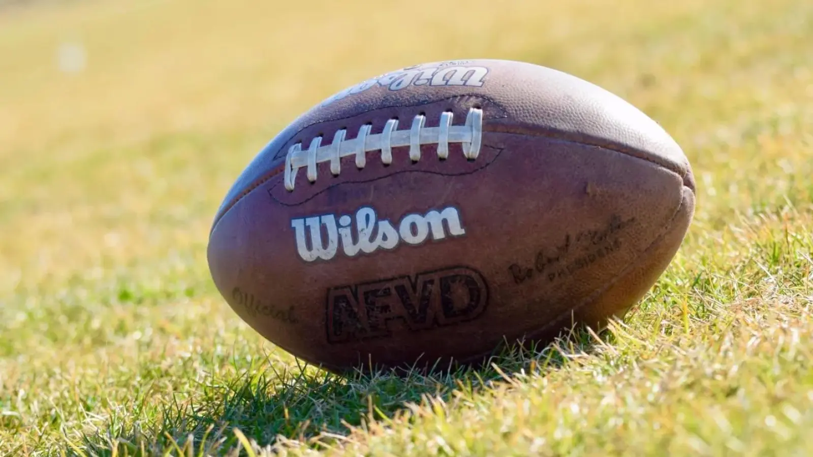 Am Samstag, 18. April, um 15 Uhr findet im Stadion des 1. FC Bayreuth erstmals in diesem Jahr wieder ein American Football-Match statt. (Foto: red)