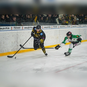 onesto Tigers - Höchstadt Alligators 01 (Foto: sd)