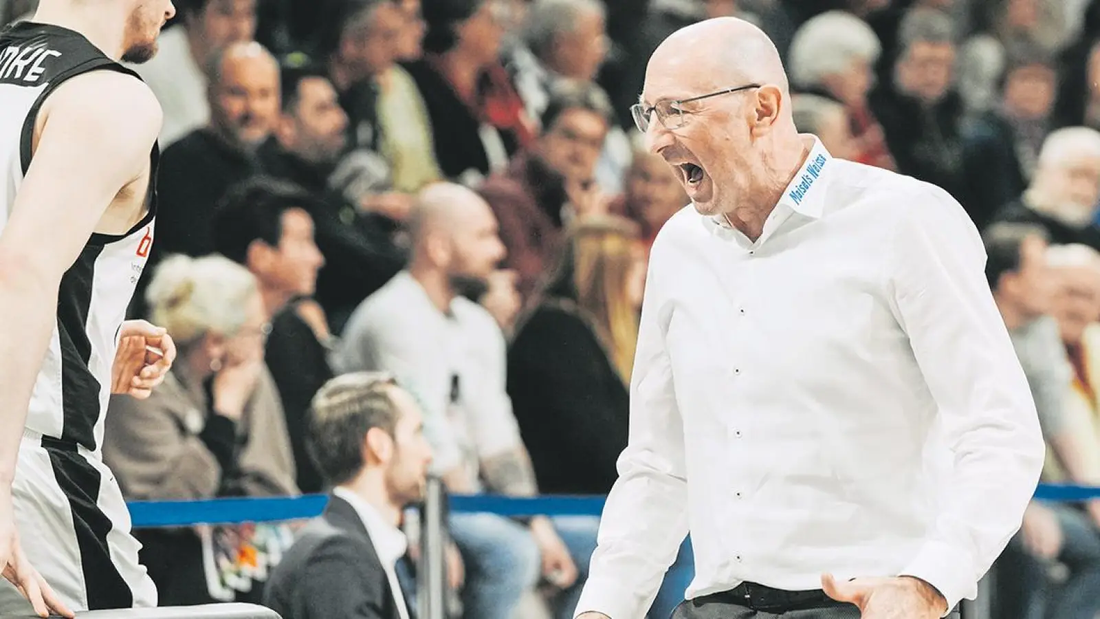 Mladen Drijencic, Head Coach von Medi Bayreuth. (Foto: Thorsten Ochs)