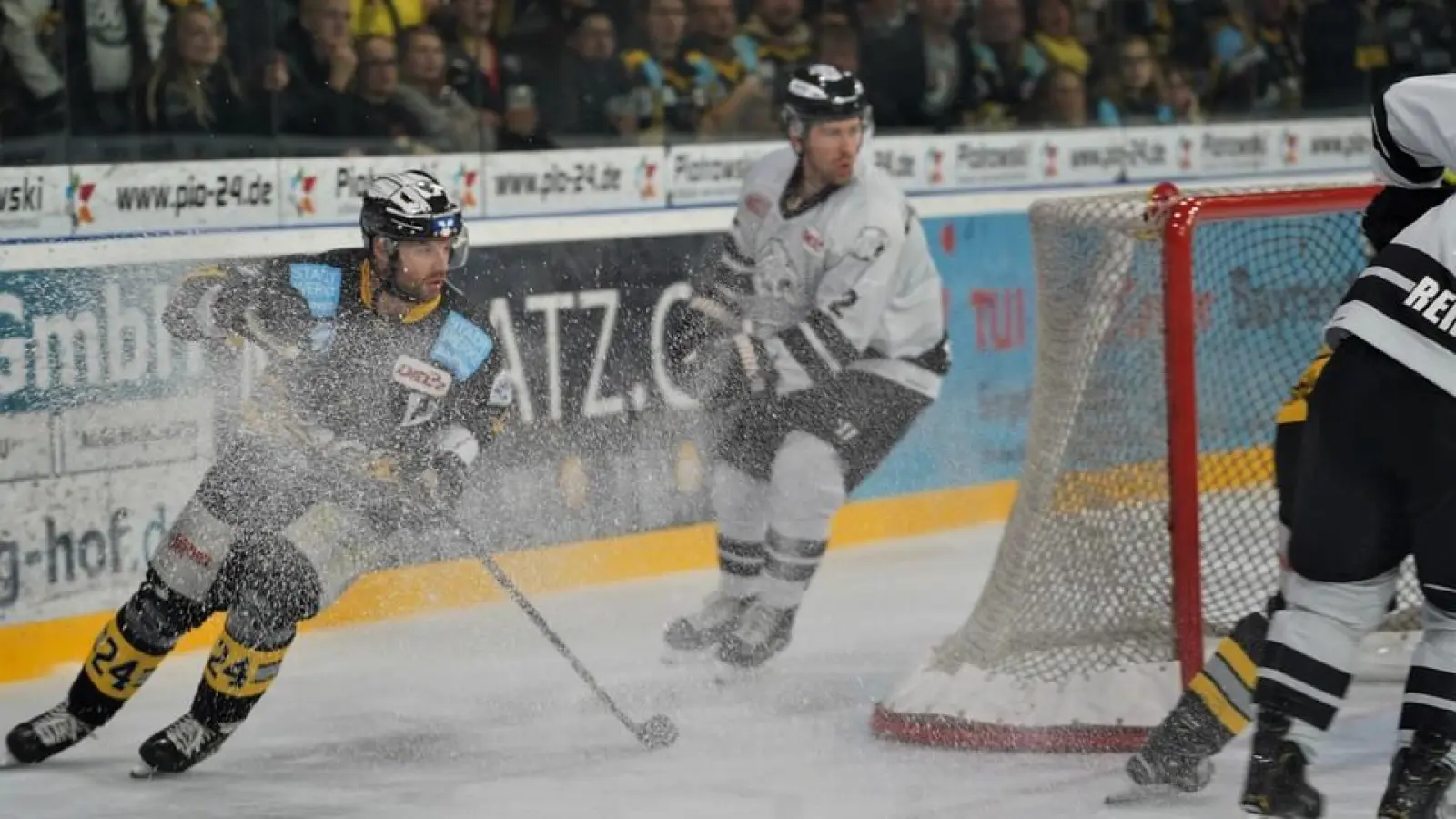 Bayreuth Tigers – Nürnberg Ice Tigers – Foto Karo Vögel (Foto: Bayreuth Tigers - Karo Vögelö)