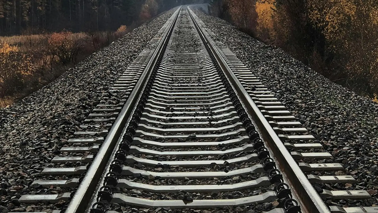Eingleisige Bahnschienen: Nach Beschädigungen Ende November in Creußen Ende November wurden nun Verdächtige gefasst. (Foto: Symbolbild: unsplash.com/Kendrew Schexnider)