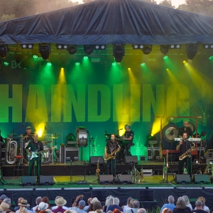 HAINDLING, die Kultband aus Bayern, auf der Seebühne (Foto: sd)
