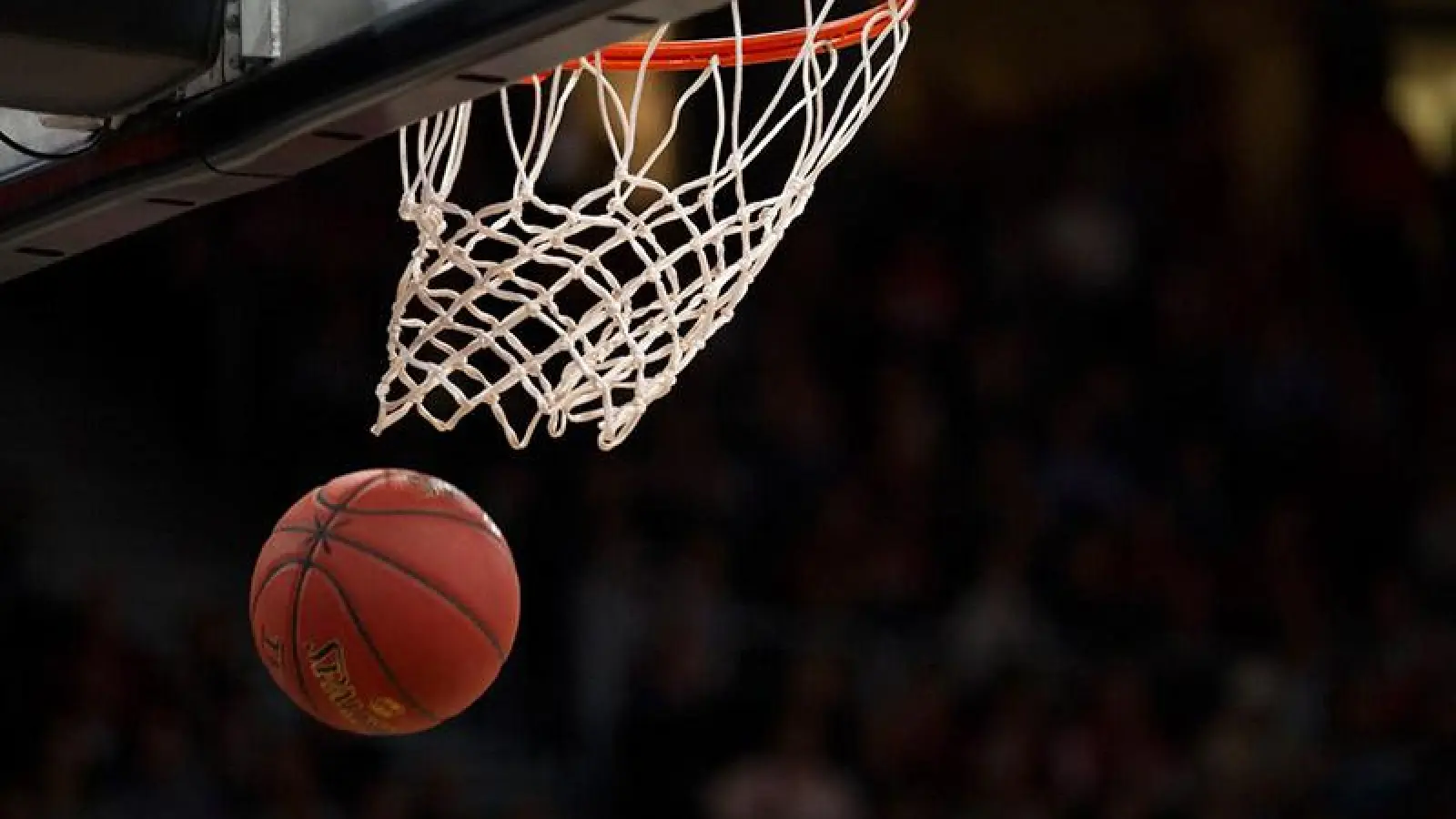 medi bayreuth: Vorerst keine FIBA-Wettbewerbe (Foto: inBayreuth.de)