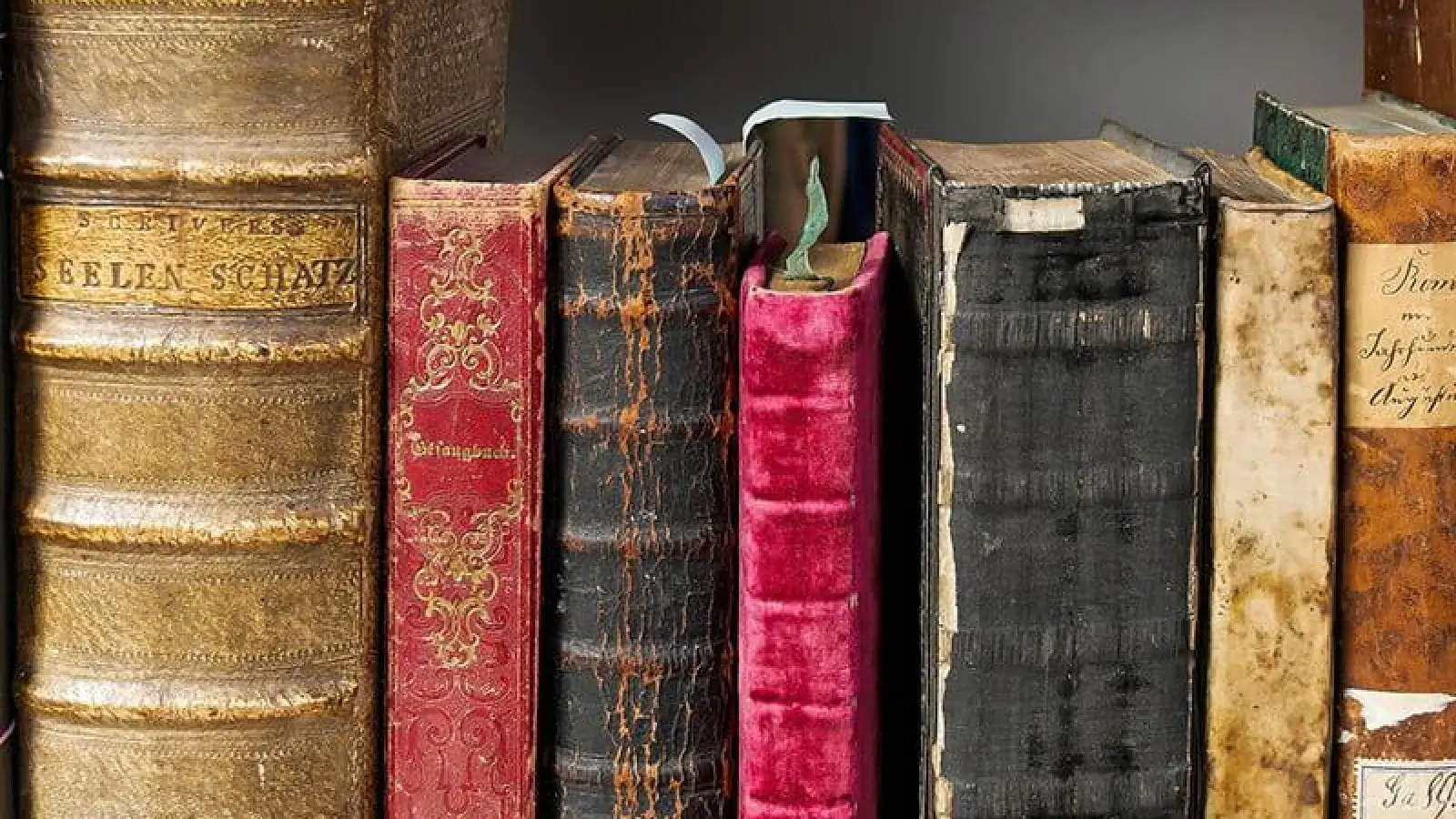 „Mir ist die Freiheit Nachtigall“ -  200. Geburtstag Theodor Fontane (Foto: pixabay)