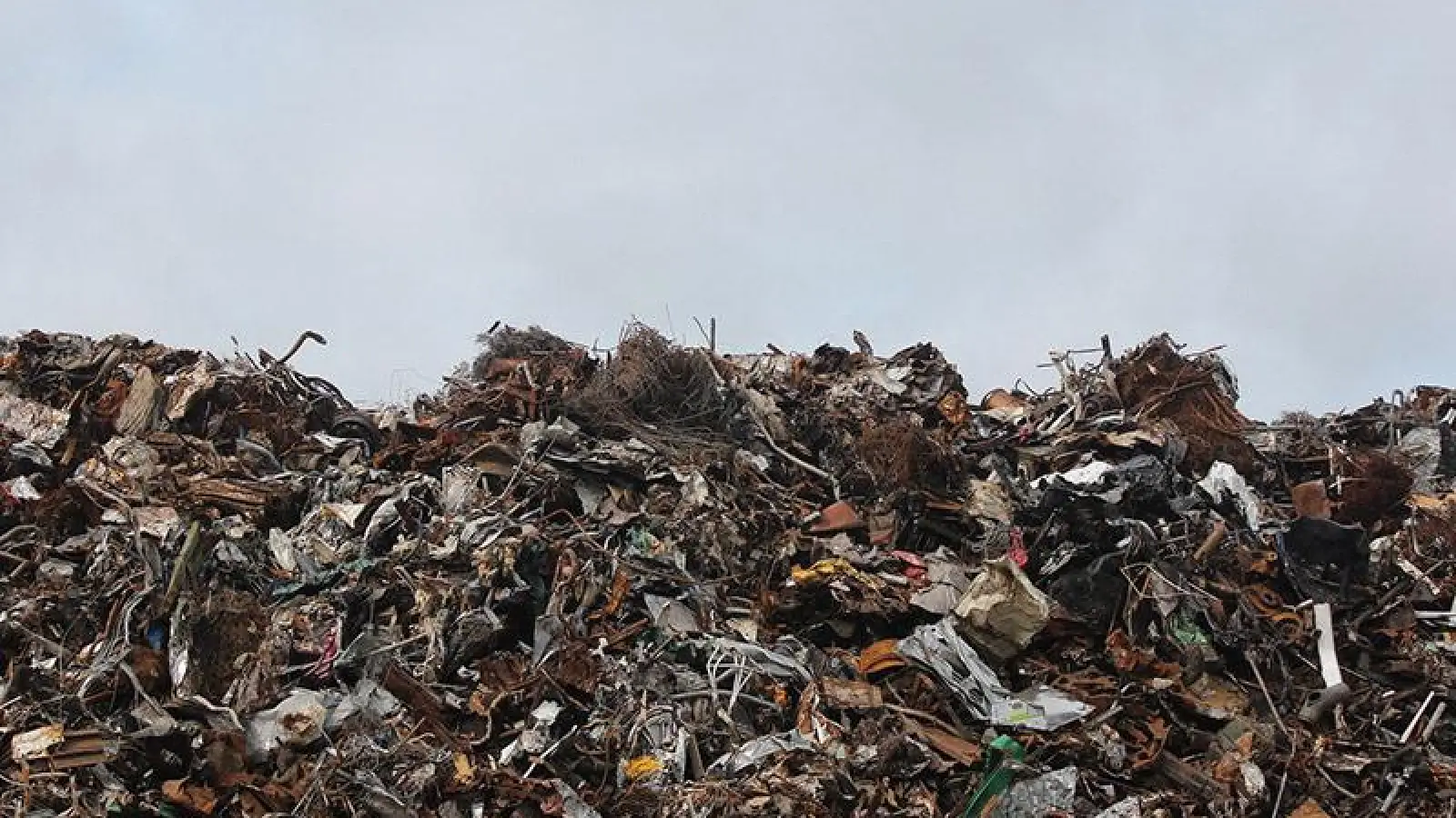 Lokalnachrichten: Problemmüllsammlung (Foto: red)