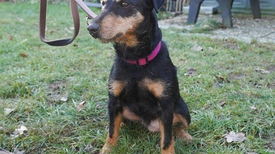 Ursula-Dottie (Foto: inBayreuth.de)