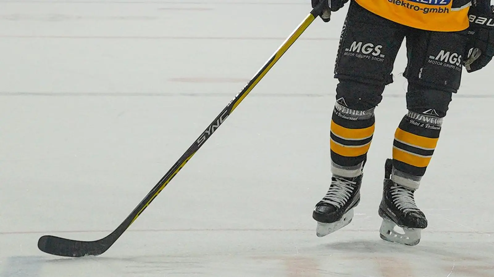 Spieler der Bayreuth Tigers auf dem Eis. (Archivbild: Dörfler)