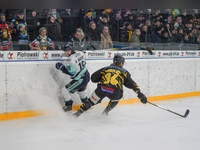 onesto Tigers - EV Lindau Islanders 02 (Foto: sd)