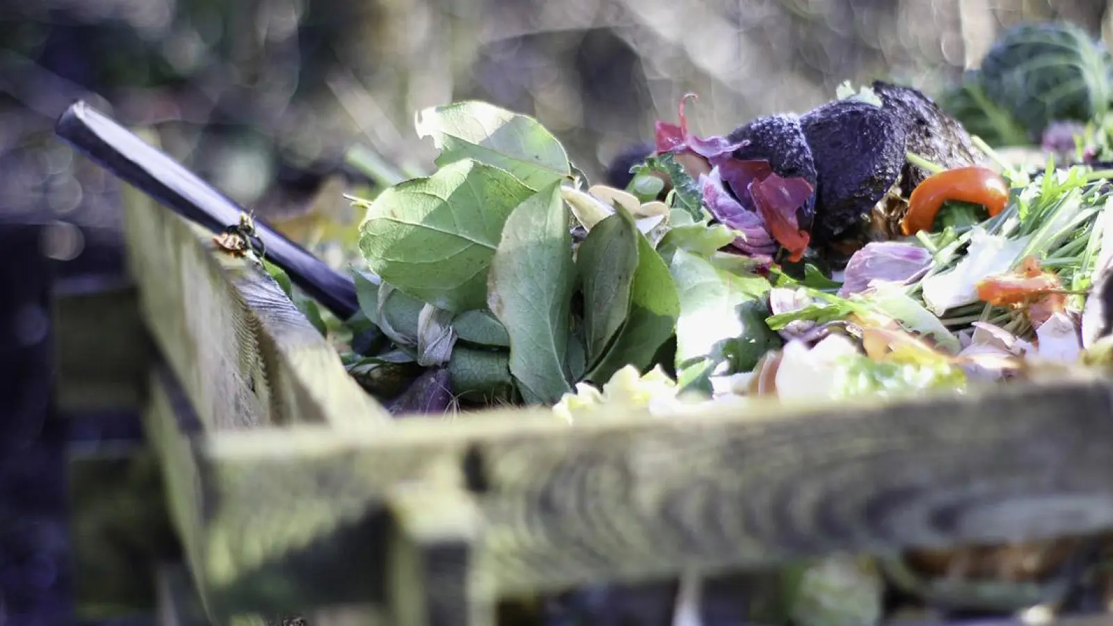 Ratgeber Garten: Verbrennen pflanzlicher Abfälle (Foto: red)