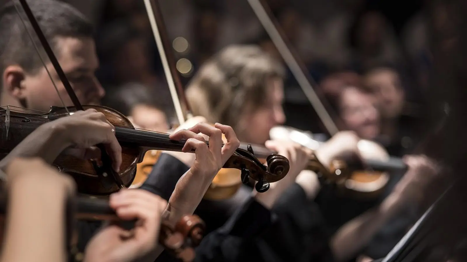 Die Städtische Musikschule feiert 50. Geburtstag. (Foto: red)