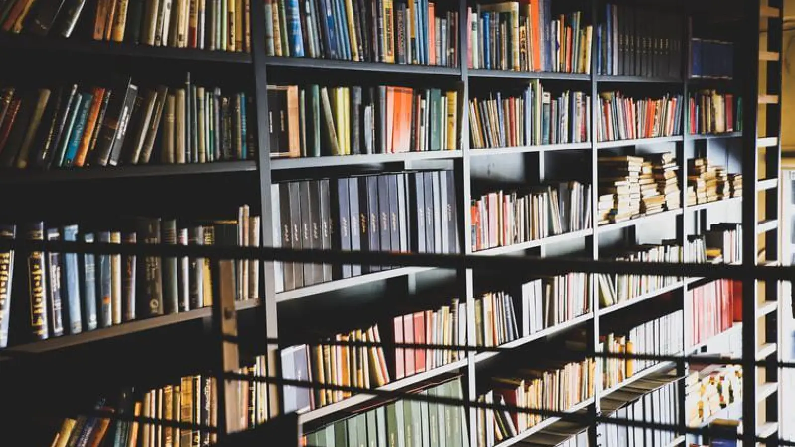 Corona-Virus in Bayreuth: FrankenOnleihe der Stadtbibliothek (Foto: red)