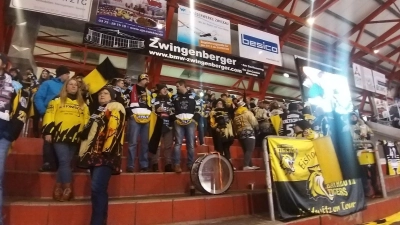 crimmitschau vs tigers 15.03.23 (Foto: Denise Preiss)