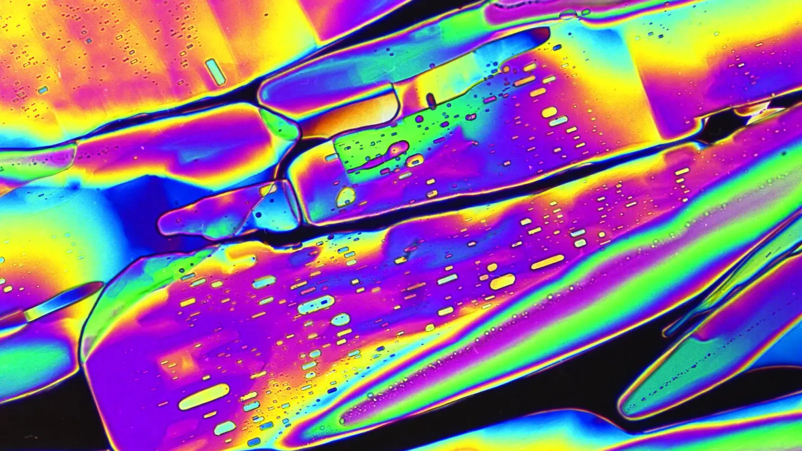 Foto: Richard Jähner