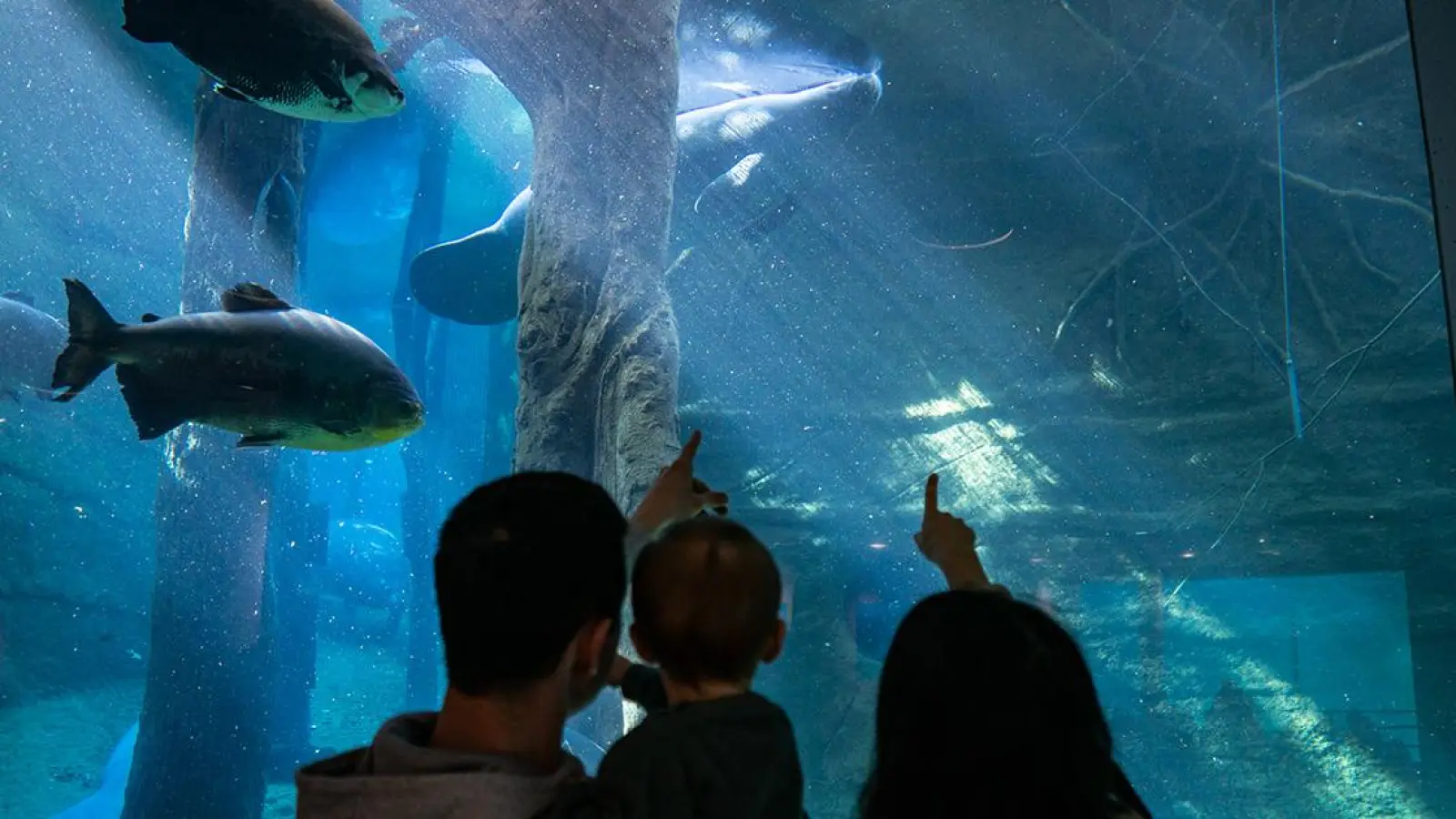 Gewinnspiel: 3 Familienkarten für den Tiergarten Nürnberg (beendet) (Foto: red)