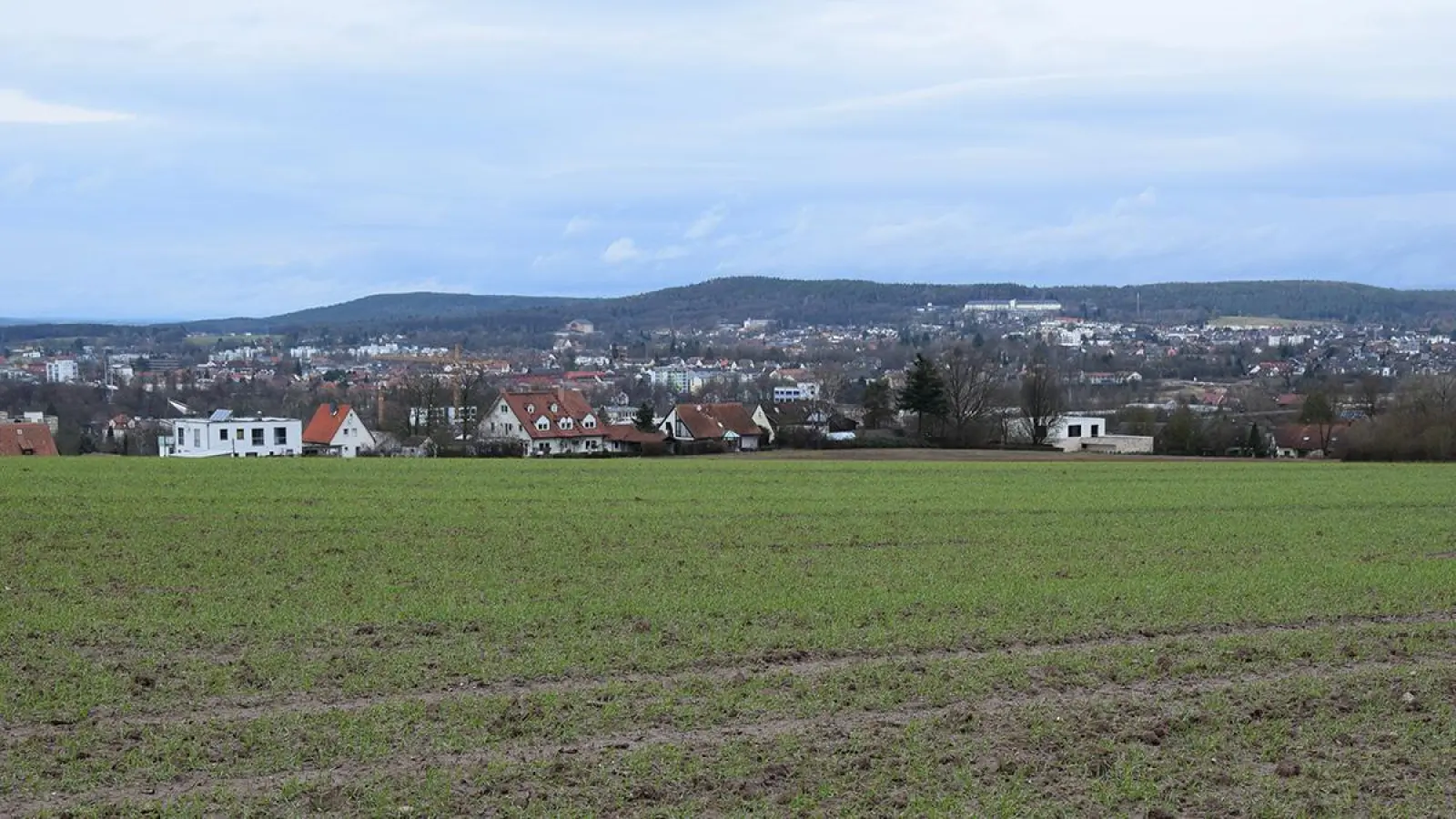 Der Eichelberg vom Panoramaweg in Blickrichtung Nordwest betrachtet.  (Foto: Lenkeit)