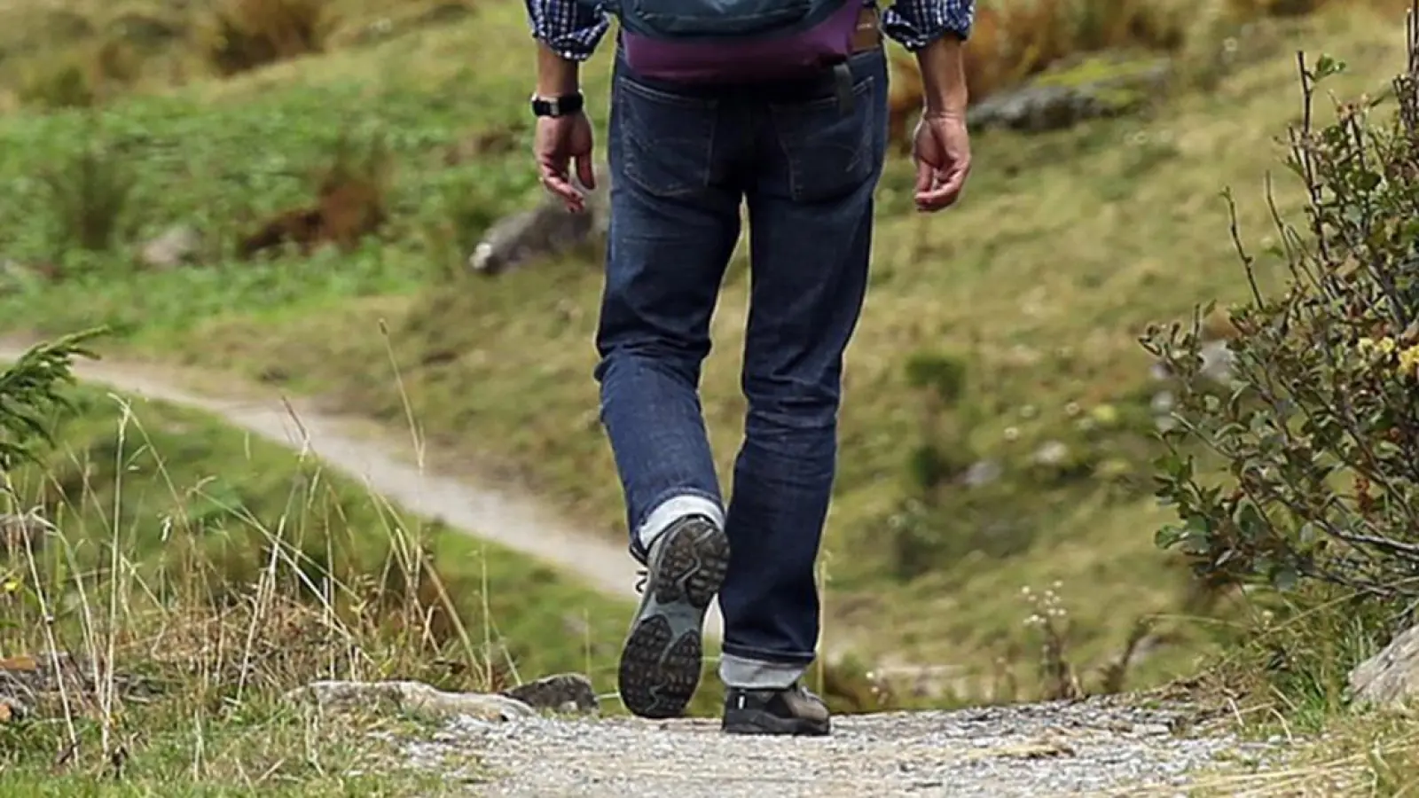 Goldkronach: Wanderung auf dem Humboldtweg (Foto: red)